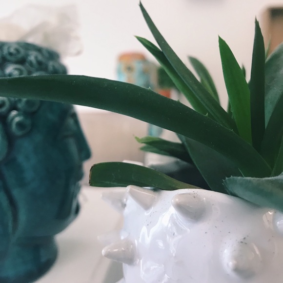 Meet your Posher, Liz - Picture 1 of 1